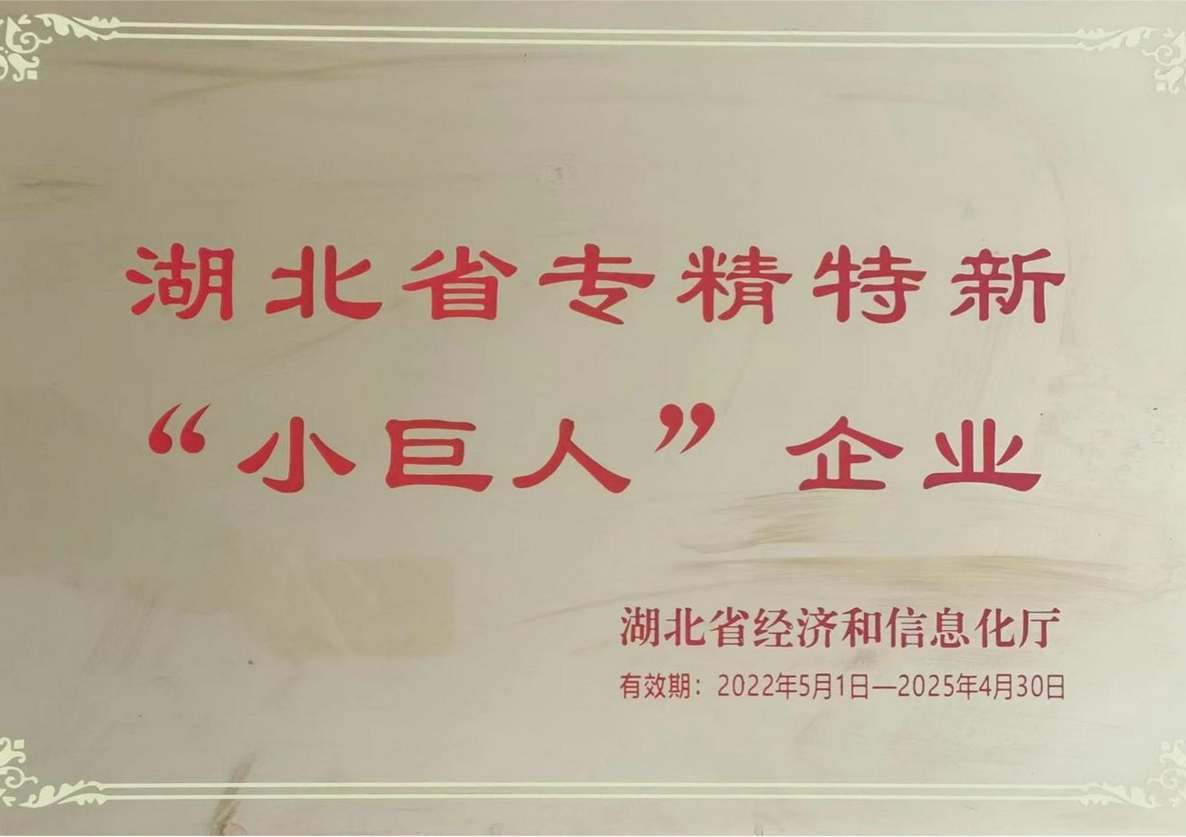 专精特新“小巨人”证书